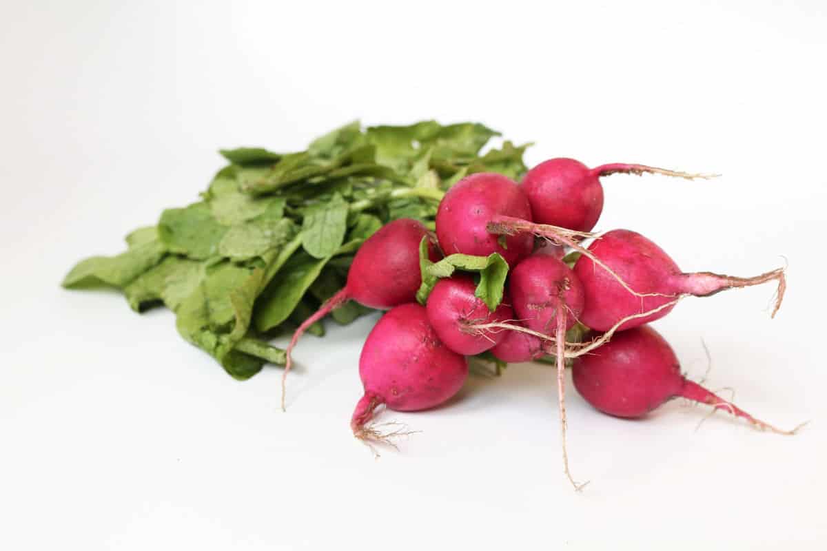 A bunch of radishes.