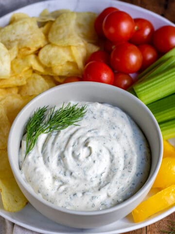 Bowl of dip surrounded by chips and veggies.