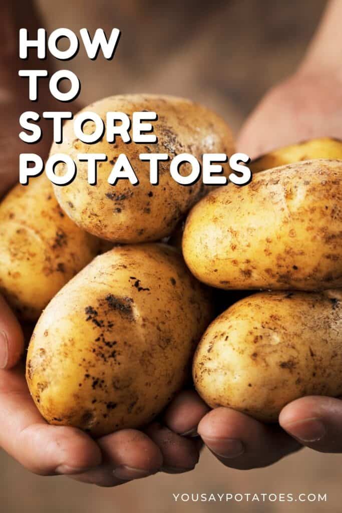 Hand holding potatoes, with text: How to store potatoes.