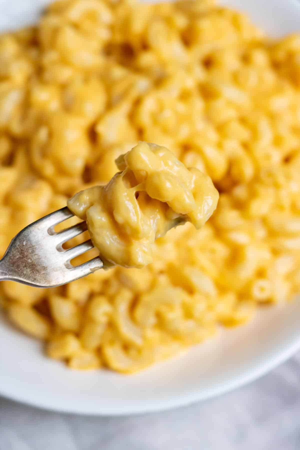 Forkful of microwave mac and cheese.
