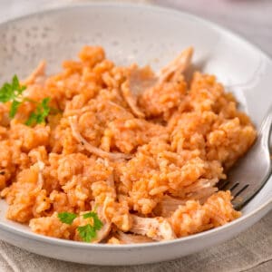 Close up of shredded chicken and rice with tomato paste.