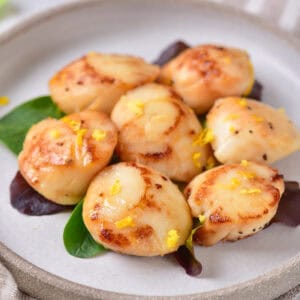 Plate of lemon butter pan seared scallops.